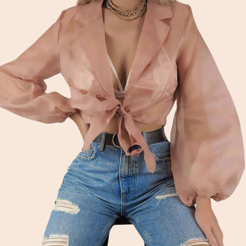 Sheer Tie-Front Lantern Sleeve Blouse