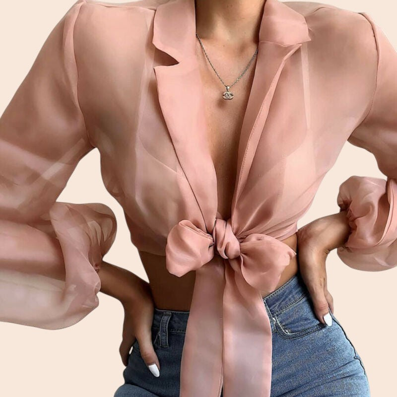 Sheer Tie-Front Lantern Sleeve Blouse