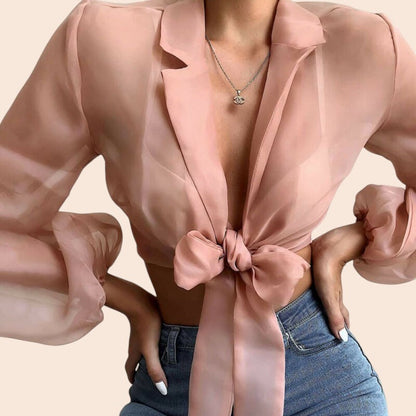 Sheer Tie-Front Lantern Sleeve Blouse
