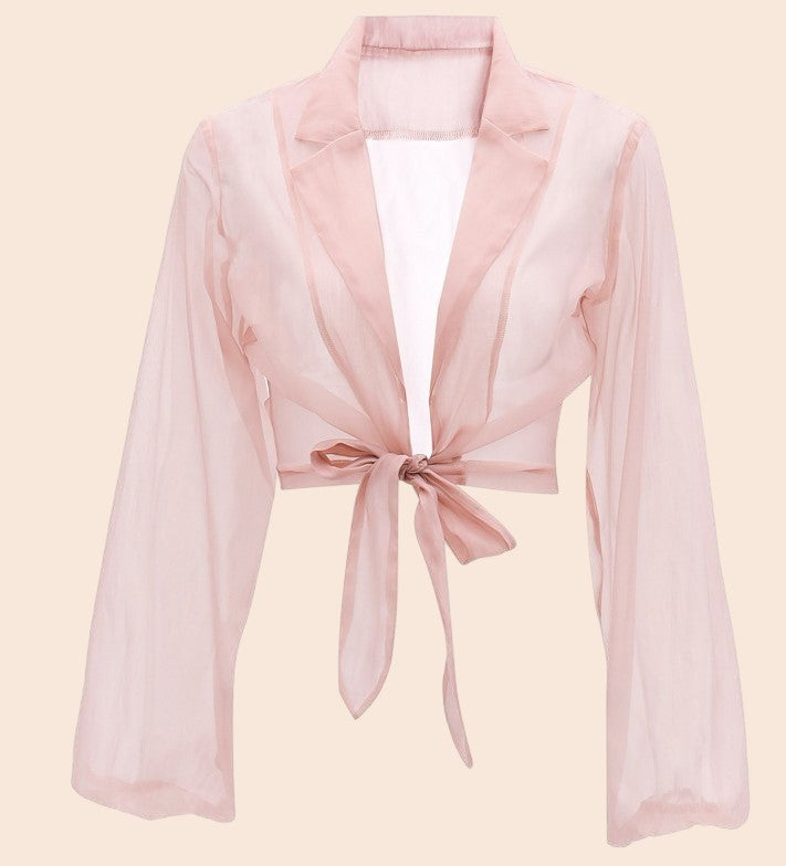 Sheer Tie-Front Lantern Sleeve Blouse