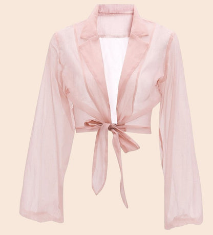 Sheer Tie-Front Lantern Sleeve Blouse
